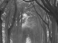 Charcoal Workshop – 24th January