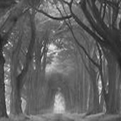 Open Charcoal Workshop - 2nd May