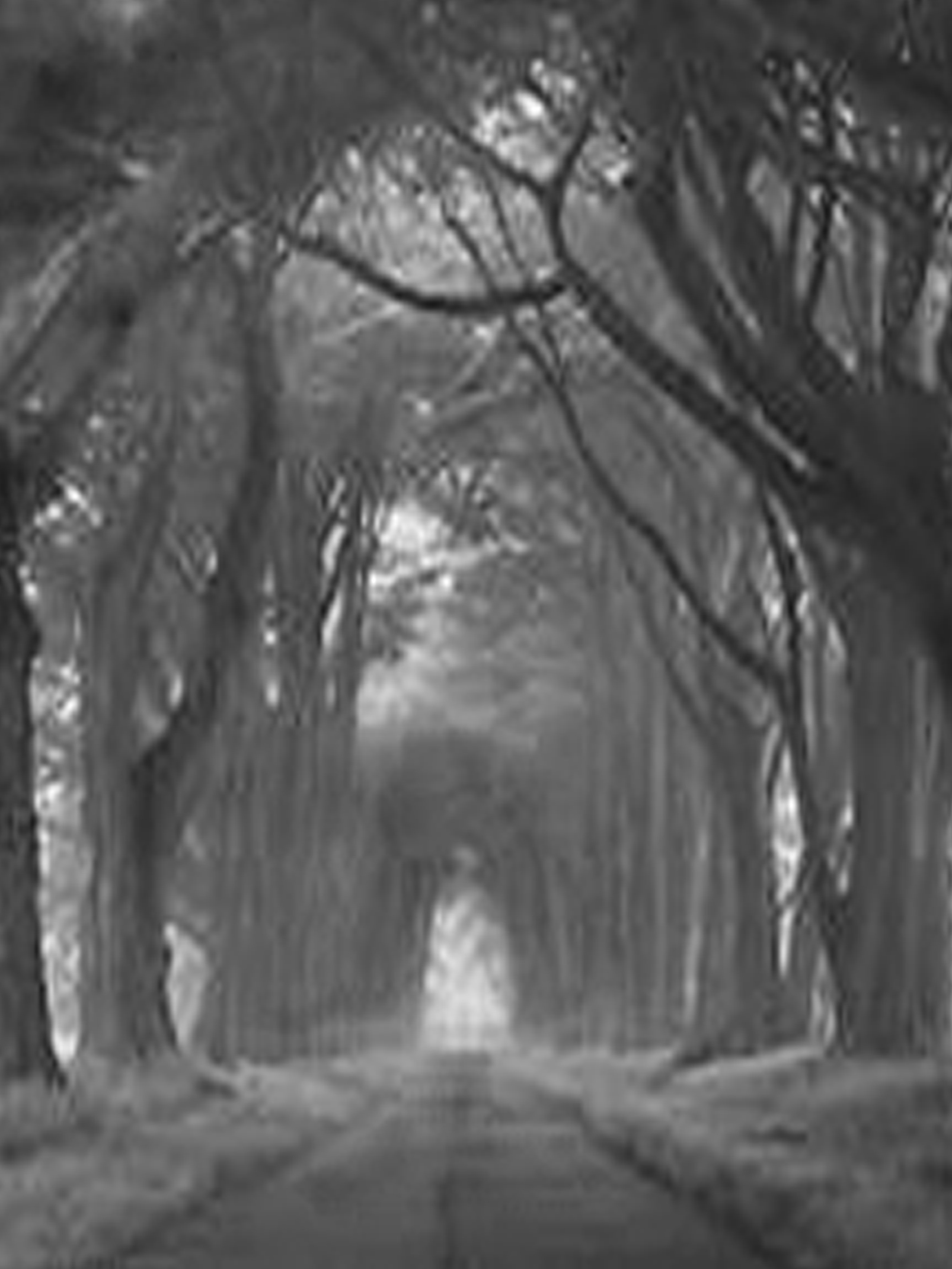 Charcoal Workshop - 24th January